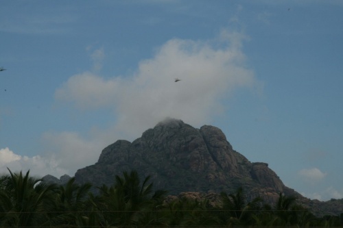 Фото 7 Фото 7