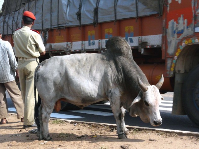 Бхубанешвар Бхубанешвар