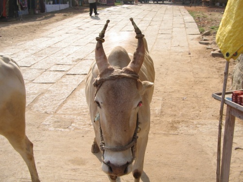 Фото 1 Фото 1
