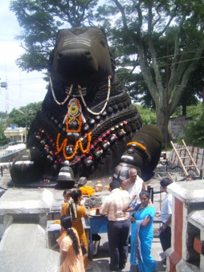 Фото 1 Фото 1