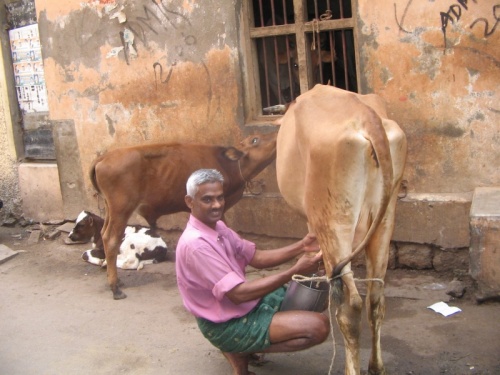 Фото 1 Фото 1