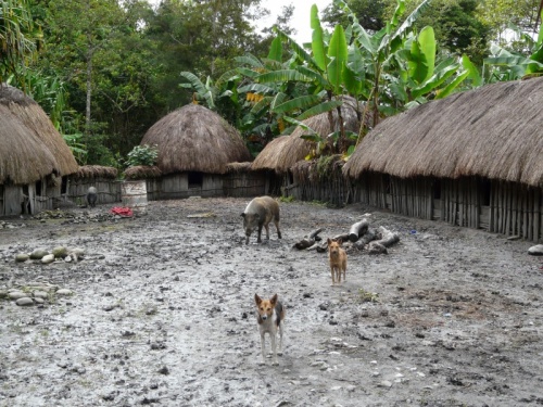  .    ,     ,   - ,  - 