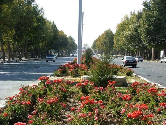 Розовая аллея по всему Душанбе