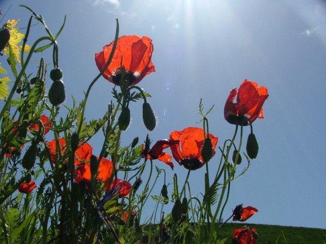 Против солнца Против солнца