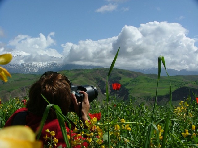 работаем))) работаем)))