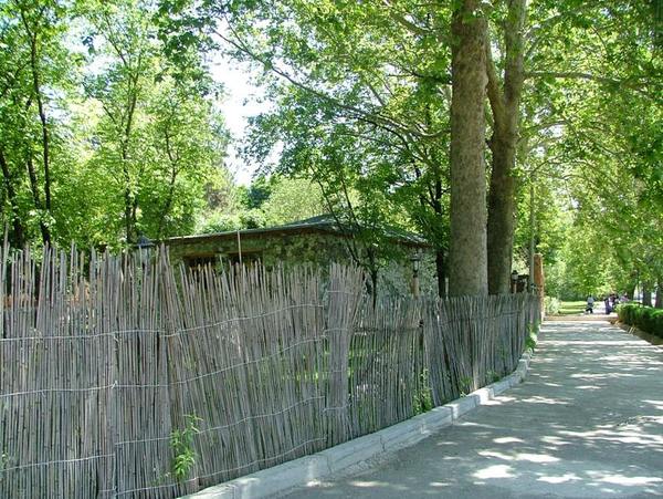 Новые строения в Ботсаде Новые строения в Ботсаде