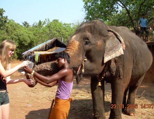 Фото 1 Фото 1