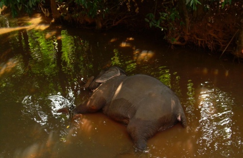 Фото 2 Фото 2