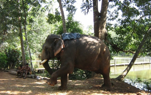 Фото 5 Фото 5