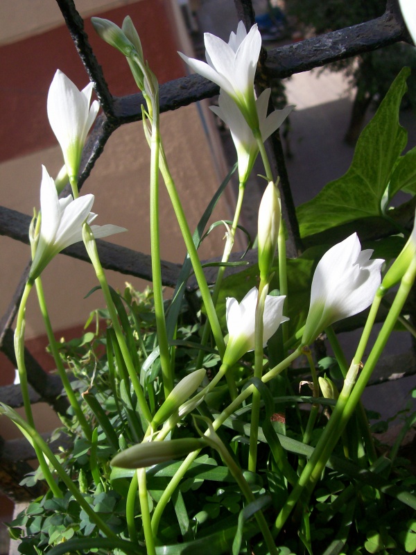 Фото 1 Фото 1