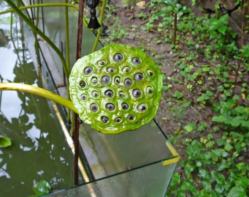 Фото 1 Фото 1