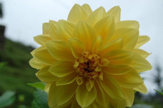 Фото 2 Фото 2