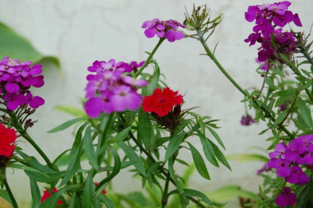 Фото 3 Фото 3