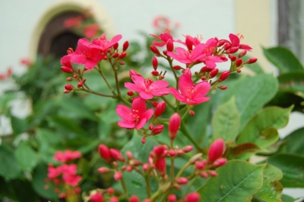 Фото 4 Фото 4