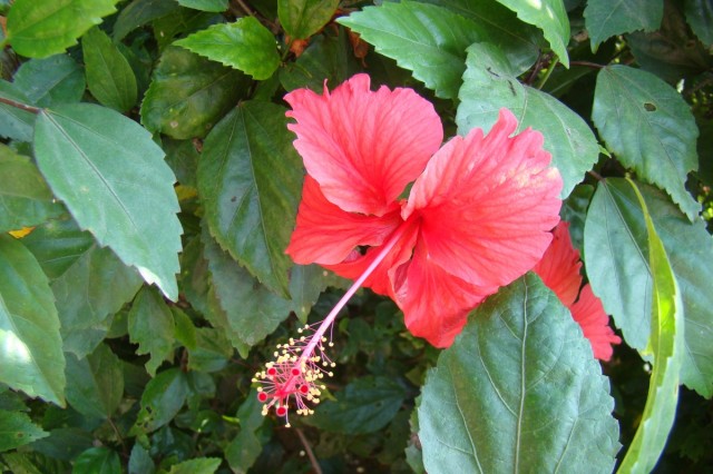 Фото 5 Фото 5