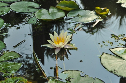 Фото 1 Фото 1