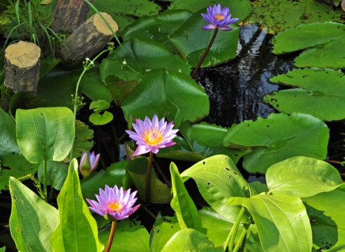 Фото 2 Фото 2