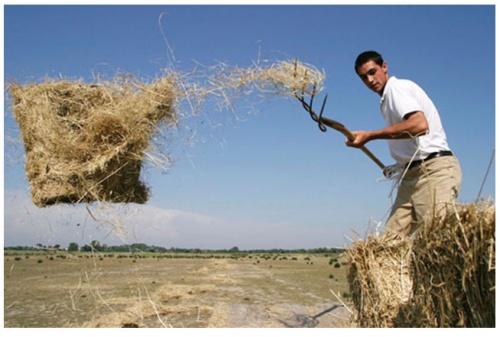    .    ,   .    ,  .       ,    . (EOS-10D  Tokina 17/3.5.)