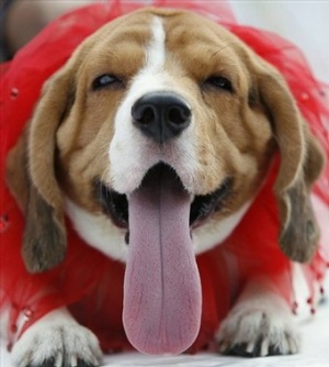 COCO B'day!!!!!!! GAV!