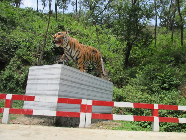   Tiger Pass