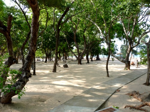  Nilaveli beach