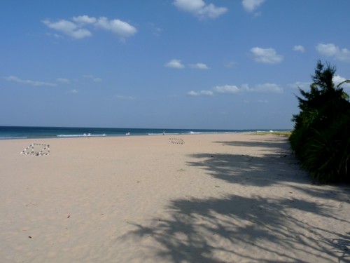  Nilaveli beach 