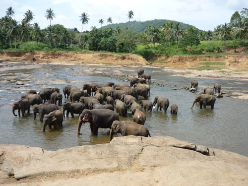 Фото 1 Фото 1