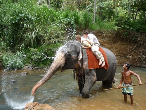 Фото 2 Фото 2