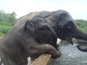 Фото 4 Фото 4