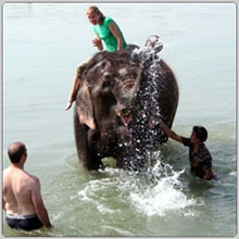 Фото 5 Фото 5