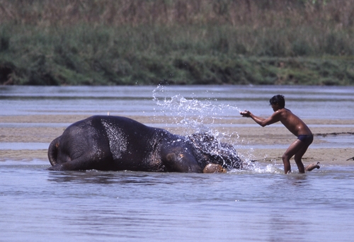 Фото 6 Фото 6