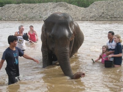 Фото 7 Фото 7