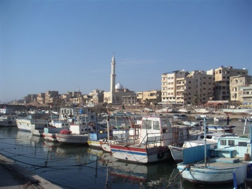 Фото 6 Фото 6