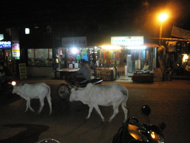 обычное явление обычное явление