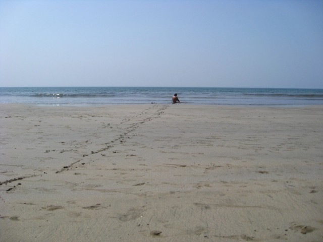 арамболь бич арамболь бич