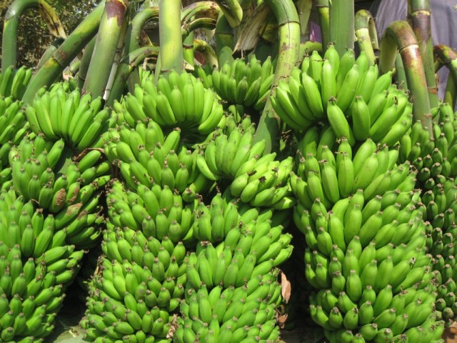 они самые они самые