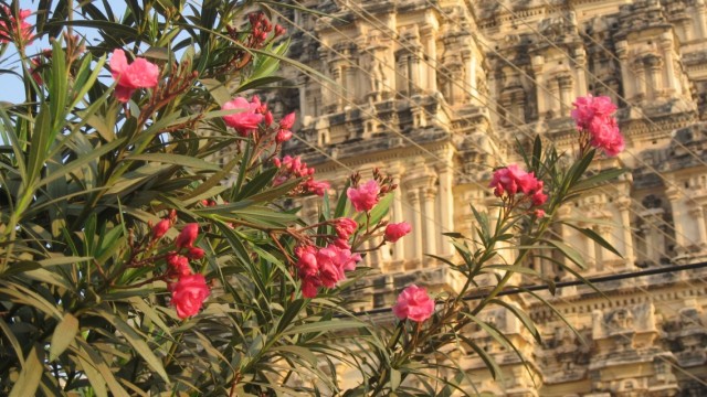 хампи хампи