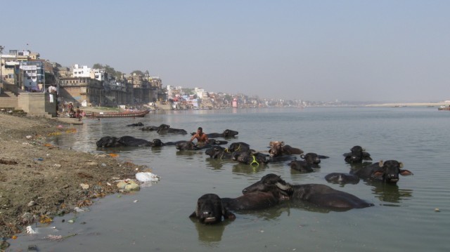 дневная помывка дневная помывка