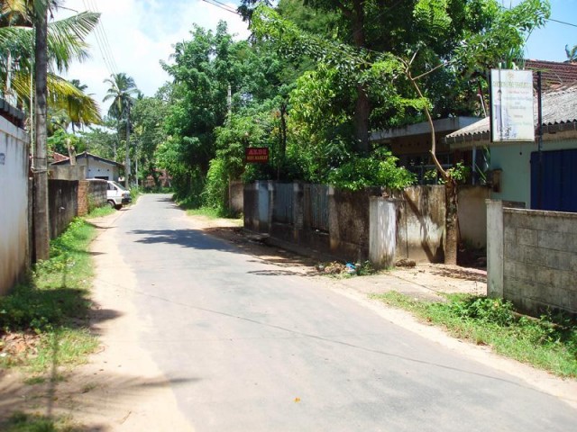      main road