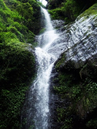 Водопад Chadwick Falls около Шимлы
