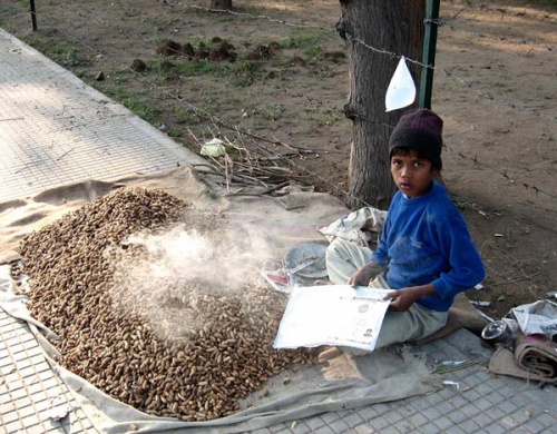 Юный торговец орешками. Юный торговец орешками.