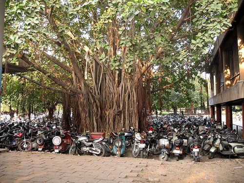 Only in India! Видели такое когда-нибудь? Only in India! Видели такое когда-нибудь?