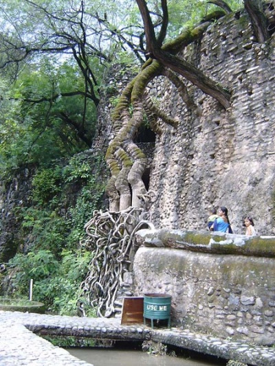 Сказочные деревья... Сказочные деревья...