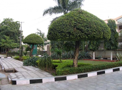 Престижный район с дорогими коттеджами, здесь живут семьи адвокатов, полковников, докторов. Престижный район с дорогими коттеджами, здесь живут семьи адвокатов, полковников, докторов.