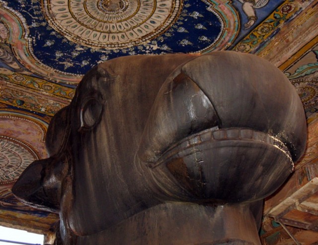 Голова быка Нанди в храме Брихадешвара. Танжавур