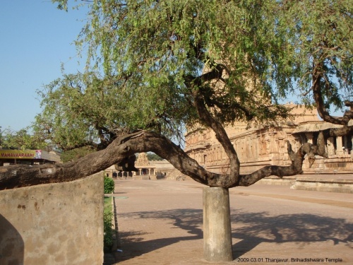 Brihadishwara Temple,  !
