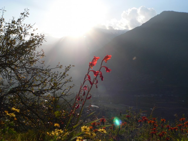 Samadhi place of Rerich