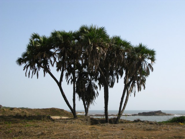 Остров Диу