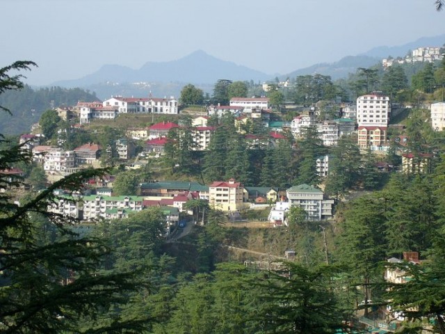 Shimla