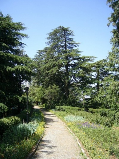 IIAS (Viceregal Lodge)